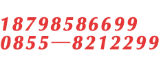 13854474099